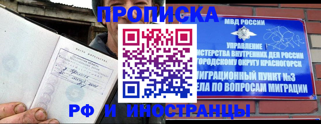 регистрация для школы в Заполярном